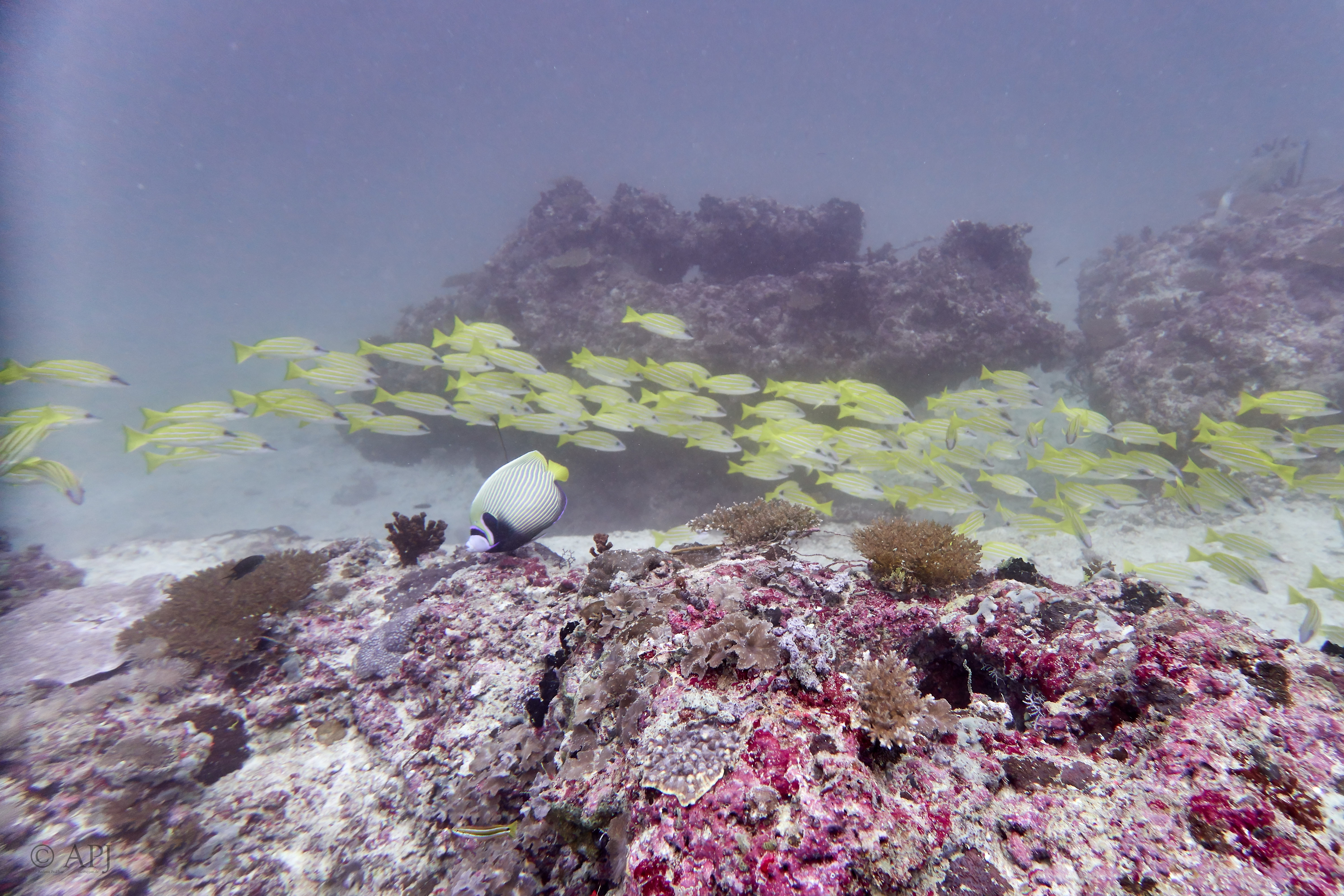 001949 16 08 17  Canon PowerShot G7 X Mark II   Malediven2017